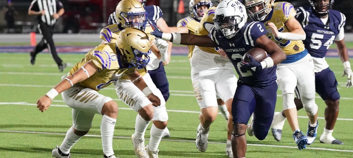 Running back has the ball