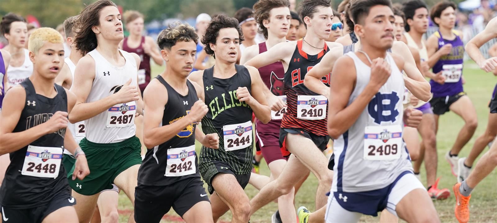 Cross country race start