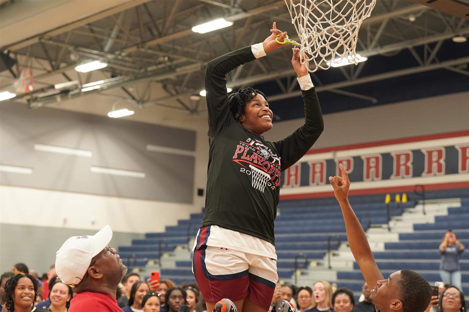 Cutting down the net