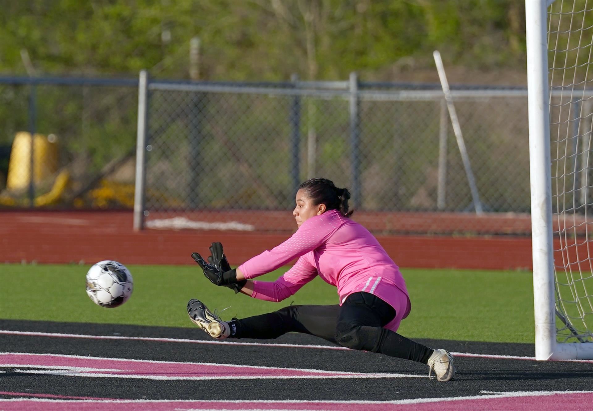Save in goal