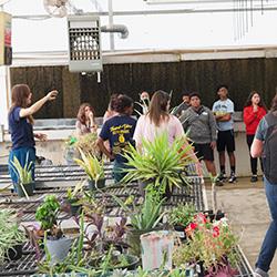 Career Center horticulture greenhouse