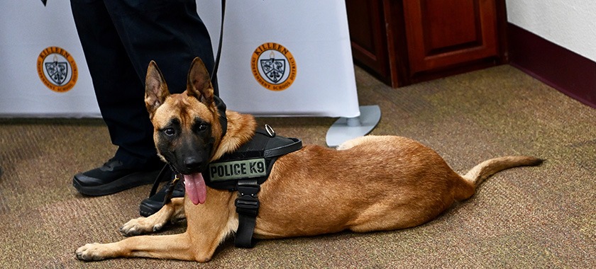  Second K9 Geri 