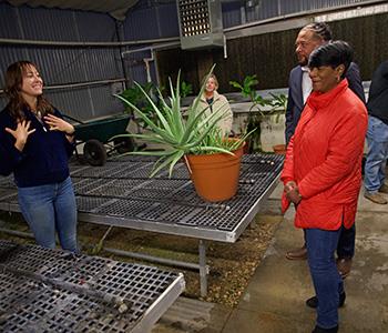 Career Center greenhouse