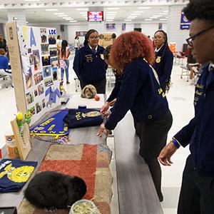 Shoemaker FFA at club fair