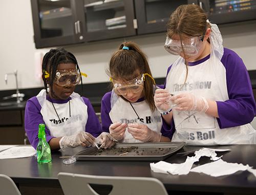 Food Web event teaches biology