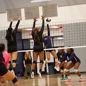 Chaparral pushes Lady Eagles to four sets