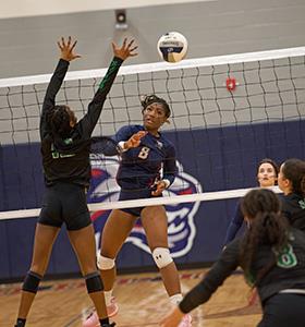 Chaparral battles Ellison volleyball