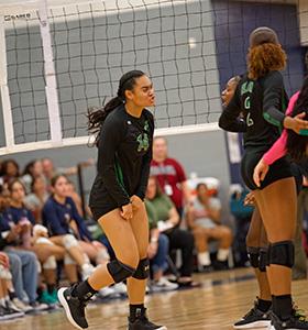 Ellison Lady Eagles defeat Lady Bobcats