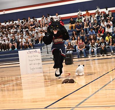 CHS Mascot